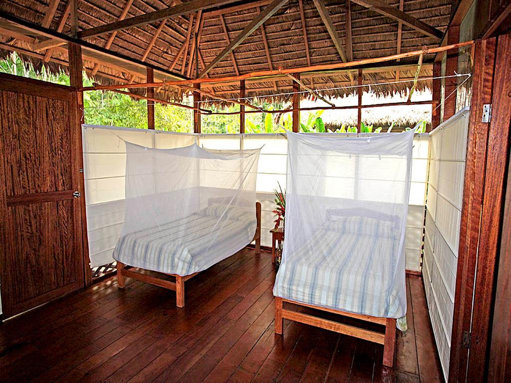 Heath River Wildlife Center Puerto Pardo Phòng bức ảnh